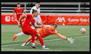 UFABETอันไหนดีสุด